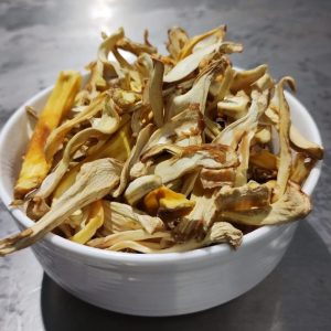 Jackfruit / Dehydrated (Organic) – 500g – 250g (Seal pack)